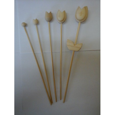 T&uacute;lipas de Madeira