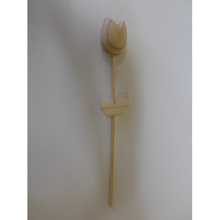 T&uacute;lipas de Madeira