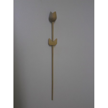 T&uacute;lipas de Madeira